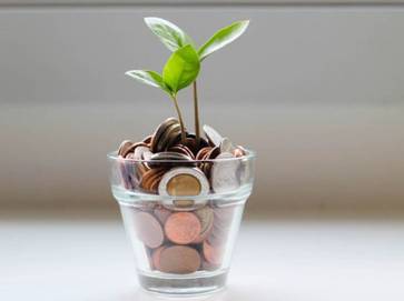 This is an image of a plant growing in a cup that is filled with coins